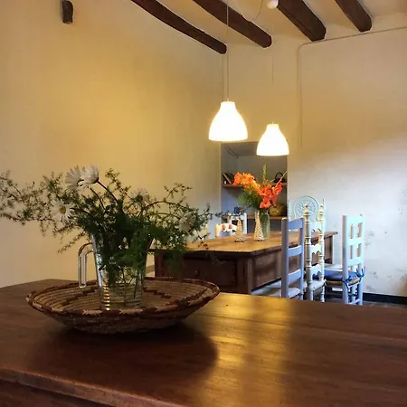 La Casanova De *